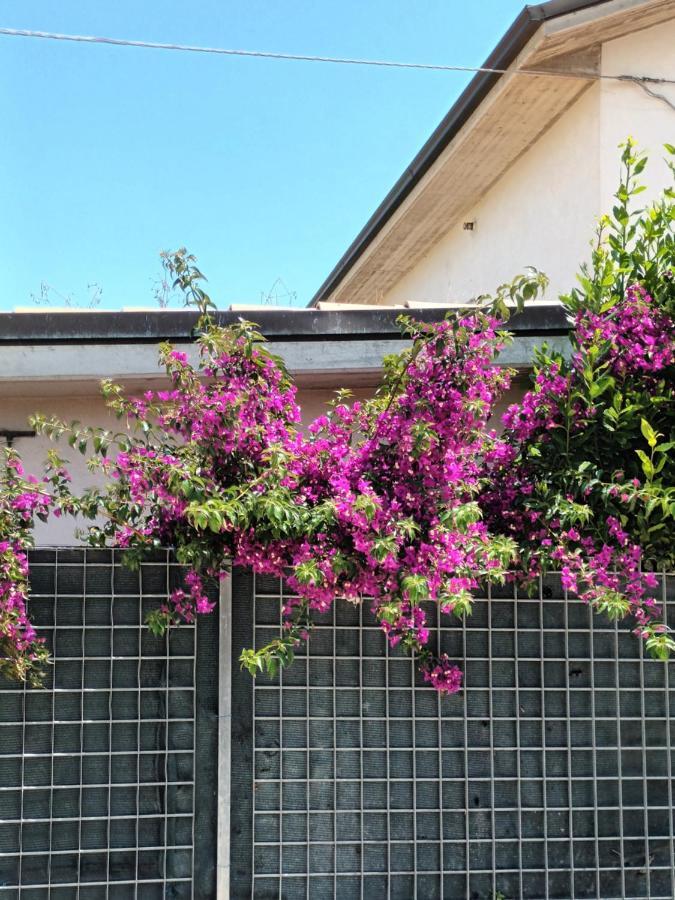Bouganville A Apartament B&B Civitanova Marche Luaran gambar